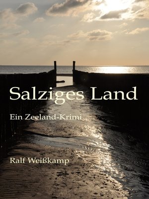 cover image of Salziges Land